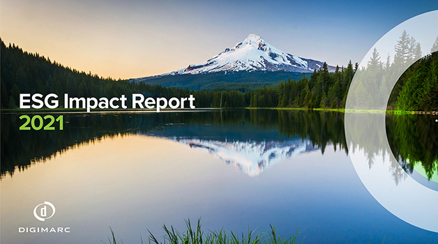 ESG Impact Report