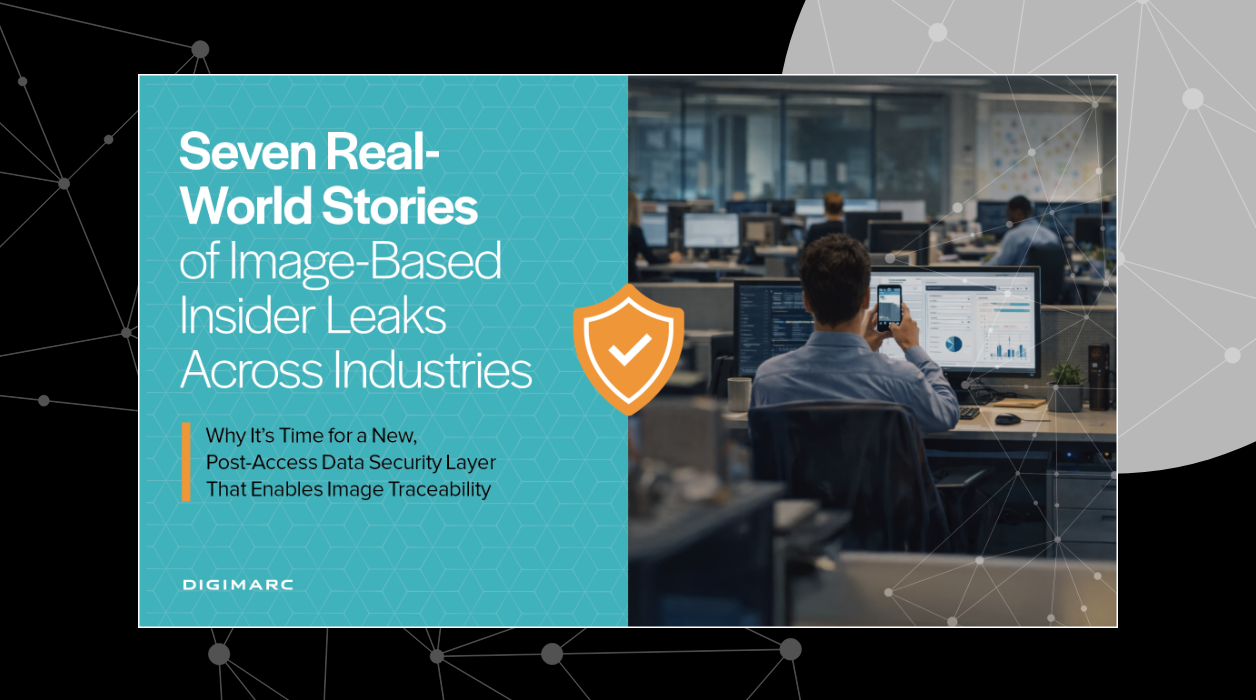 Seven real-world stories of image-based insider leaks across industries