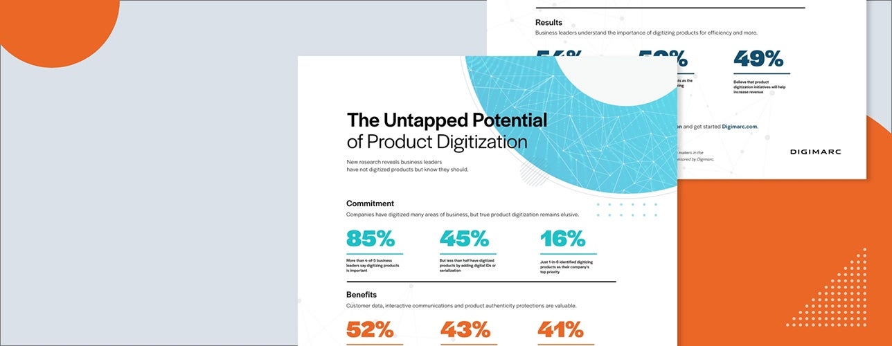 The Untapped Potential of Product Digitization Infographic