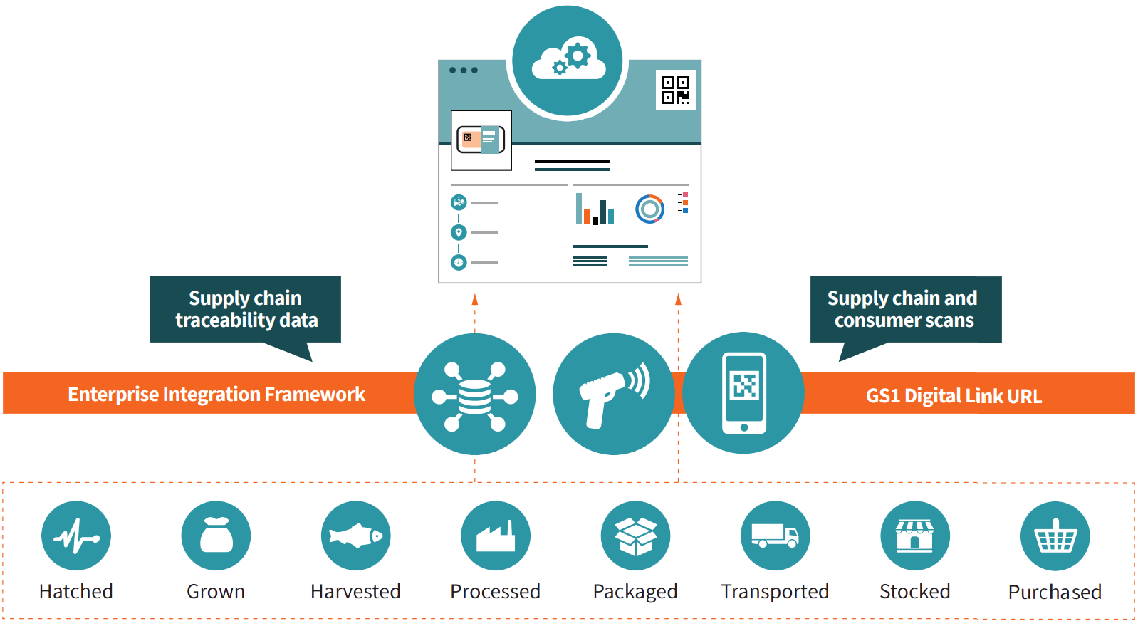 Mowi Traceability